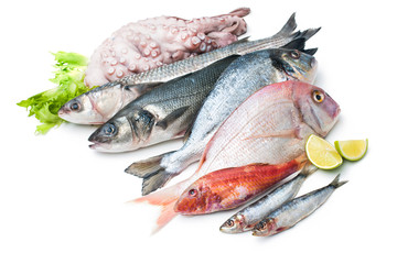 seafood isolated on white background