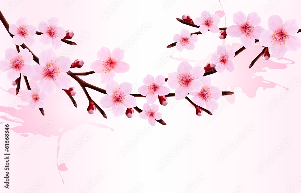 Aufkleber Spring background of a blossoming tree branch with spring flower