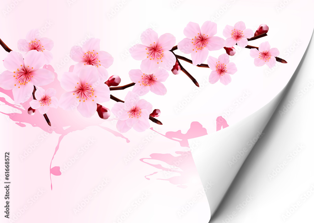 Aufkleber Spring background with a blossoming sakura branch. Vector illust
