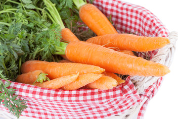 Fresh Carrots with leaves in a basket