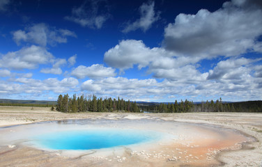 Yellow stone national park
