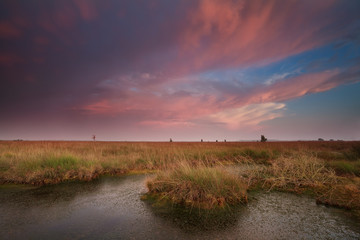 dramatic pink sunset over swamp