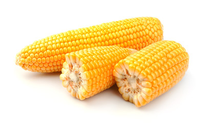Corn isolated