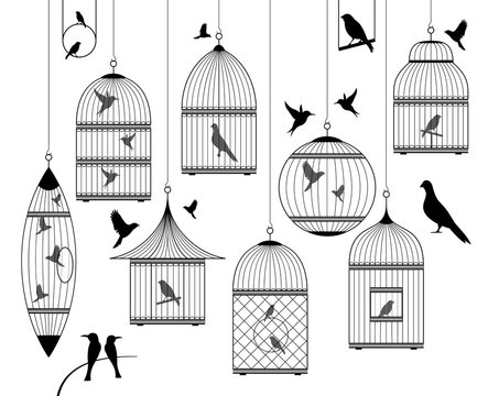 birds and birdcages collection