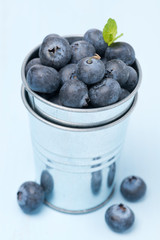 Fresh blueberries in a metal bucket on a blue background