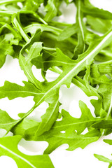 Fresh arugula