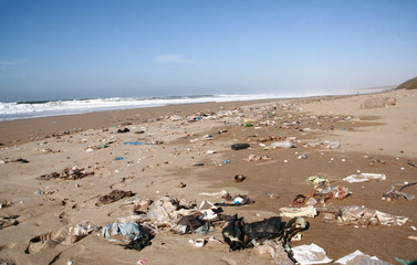 une plage polluée