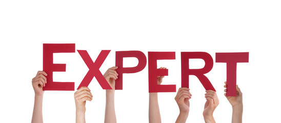 People Holding Expert