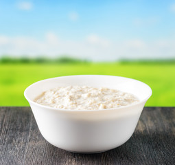 Bowl of oat porridge on nature background