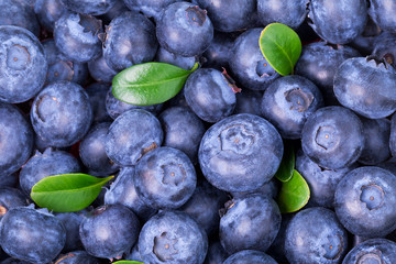 blueberries background