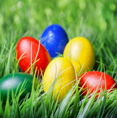 Easter eggs on green grass