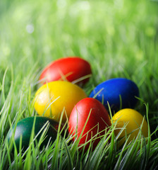 Easter eggs on green grass
