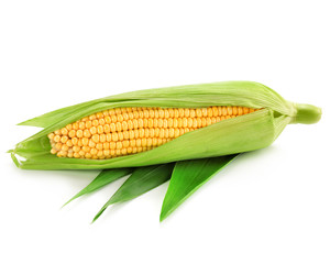 corn