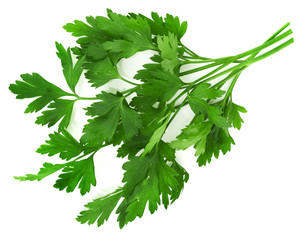 Parsley