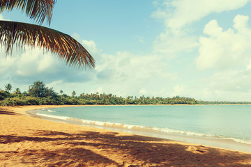 Fototapeta na wymiar Hot Tropical Beach With Blue Sky