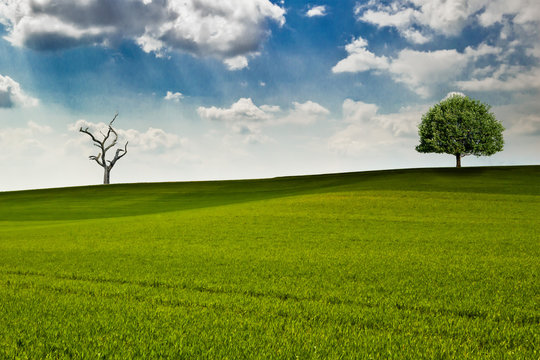 Elf jinsiy aloqa animatsiya gif