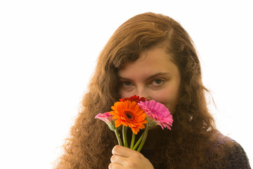 Naklejka premium Dag Gerbera m 8