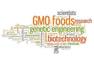 Fototapeta premium Genetic food engineering - conceptual word cloud