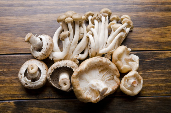 Mushrooms