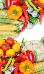 Healthy Organic Raw Vegetables. Food ingredient. Background