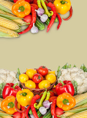 Healthy Organic Raw Vegetables. Food ingredient.