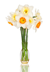 Beautiful yellow and white daffodils in transparent vase isolate