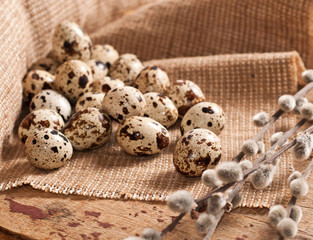 Quail eggs