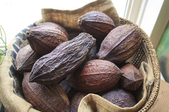 Cocoa pods