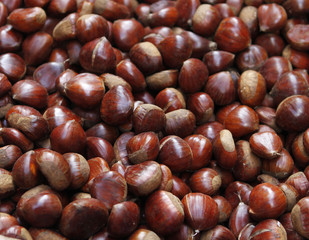 frutos06
