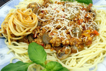 spaghetti