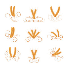 Wheat Set - Isolated On White Background