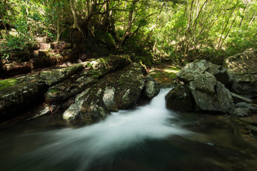 Obraz premium Rzeka Hiji w wiosce Kunigami