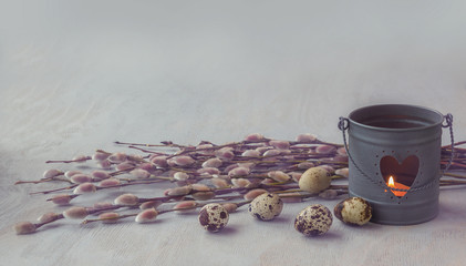Pussy willow bunch and quail eggs. Toning