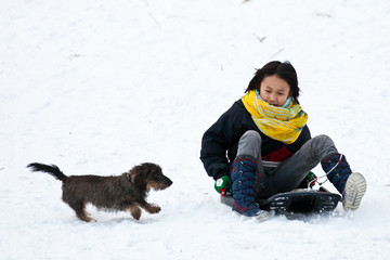 Fototapeta na wymiar Girl sledging with her dog