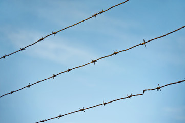 Barbed wire on blue sky background. Sharp metal fence.
