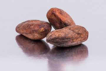 Chocolate cocoa beans isolated on white background