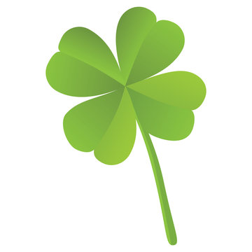 Four leaf clover isolated, St. Patrick's day (vector)