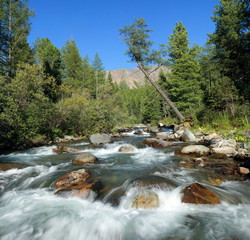 The taiga river.