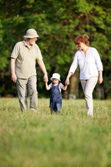Walk in the park