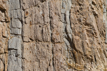 textura 15
