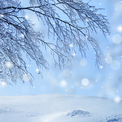 Snow covered branch on sparkle background