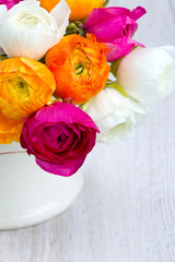 colorful ranunculus flowers isolated on white
