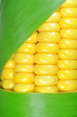 corn closeup