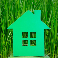 Green paper house