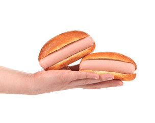 Hand holds two small hotdogs.