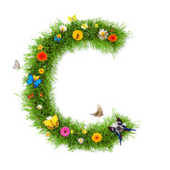 Spring letter "C"
