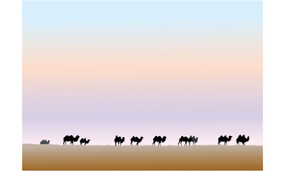 Fototapeta na wymiar Camels graze