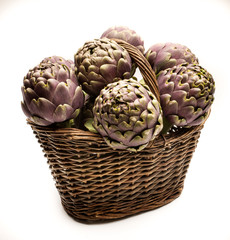 Fototapeta premium artichoke