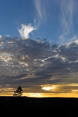 A beautiful sunset