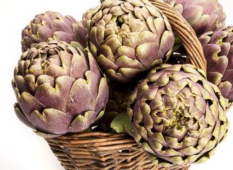 Obraz premium artichoke